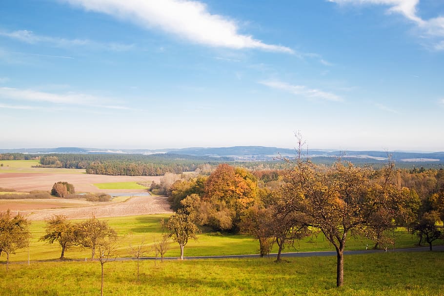 nature, landscape, view, summer, autumn, day, trees, sky, the picturesque HD wallpaper