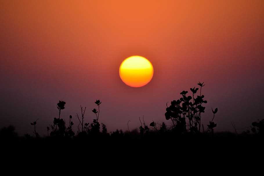 sun, sunset, dusk, desert, silhouette, twilight, magic light HD wallpaper