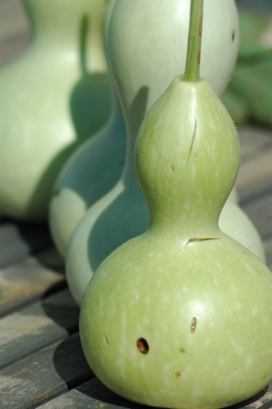 squash bottle, green, yard, green color, food and drink, healthy eating HD wallpaper