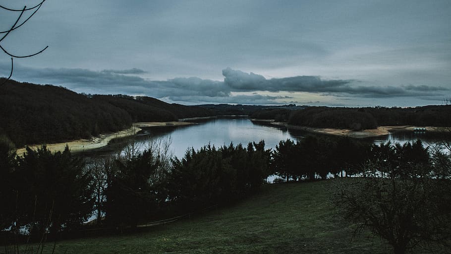 trees, lake, forest, sky, dark, wallpaper, nature, green, water HD wallpaper