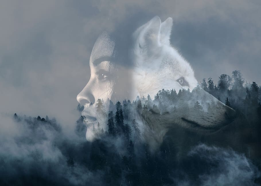 girl, wolf, double exposure, forest, steamy, fog, woman, cloud - sky