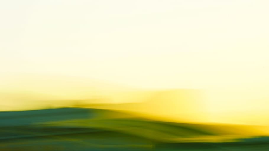 white and green wallpaper, copy space, no people, beauty in nature HD wallpaper