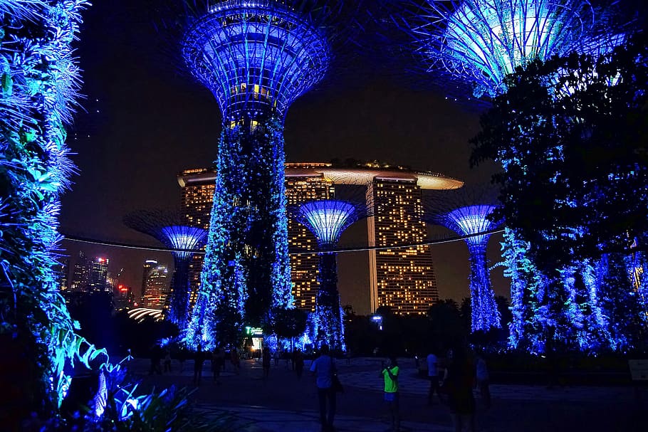 singapore, gardens by the bay, supertrees, marina bay sands, HD wallpaper