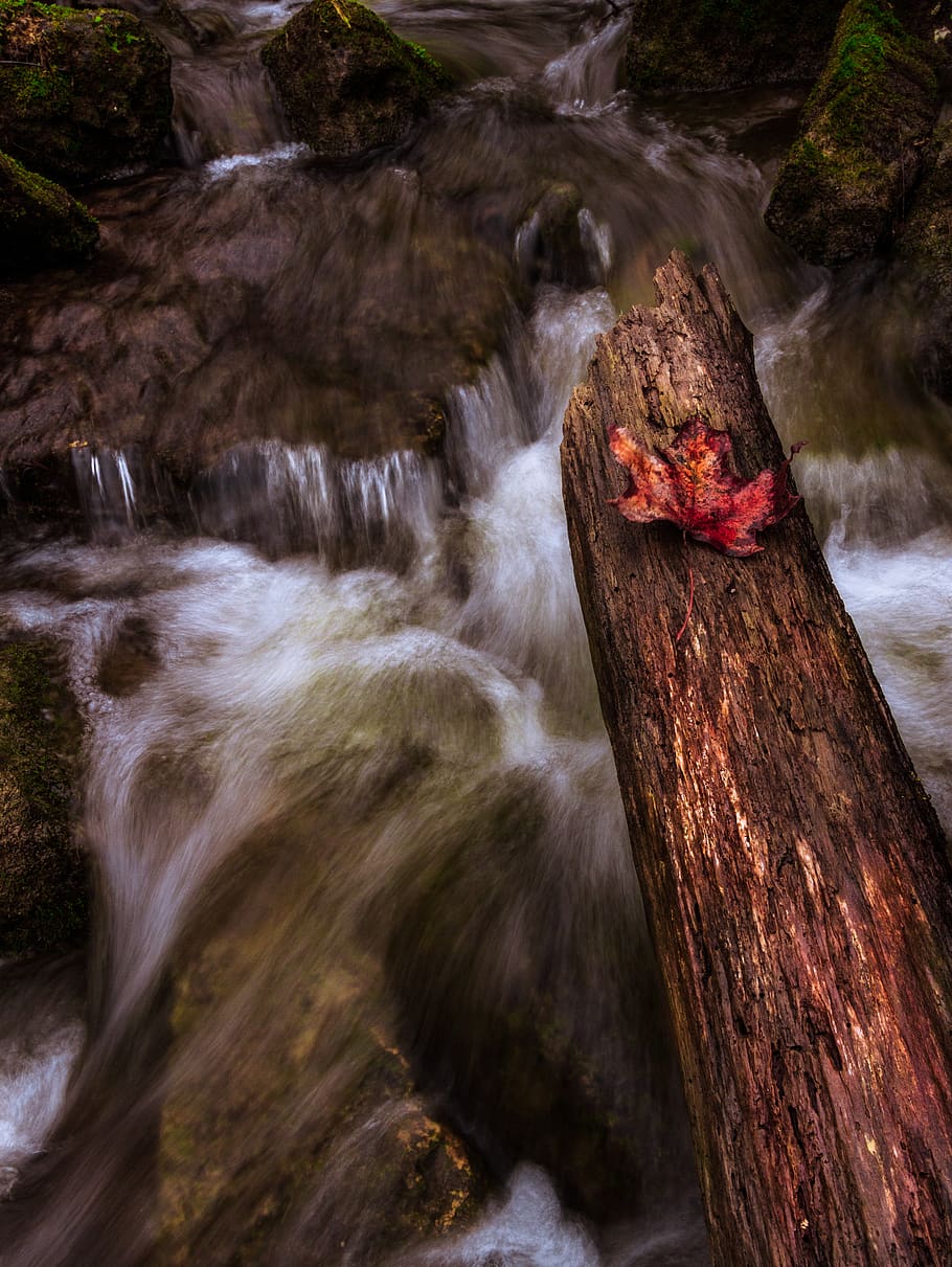 forest river in spring. water flows among the mossy rocks