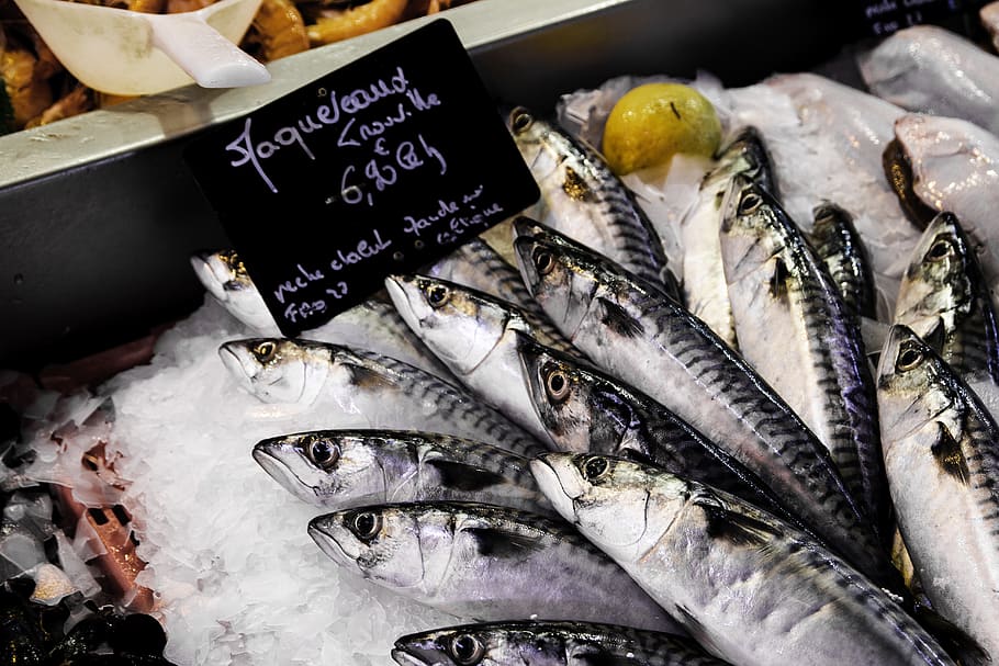 frozen fish, seafood, food and drink, market, freshness, retail HD wallpaper