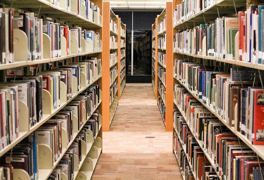 shelf, bookcase, library, row, order, education, publication HD wallpaper