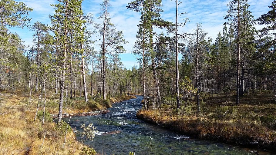 Urhokekkonennationalpark 1080P, 2K, 4K, 5K HD wallpapers free download ...