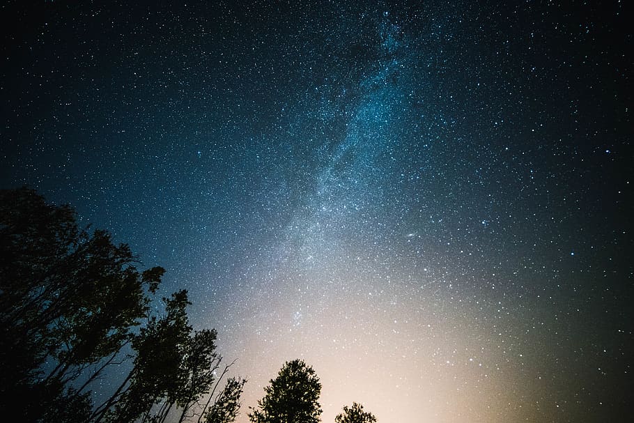 milkyway, star, stars, starlight, trees, heaven, sky, clouds, HD wallpaper