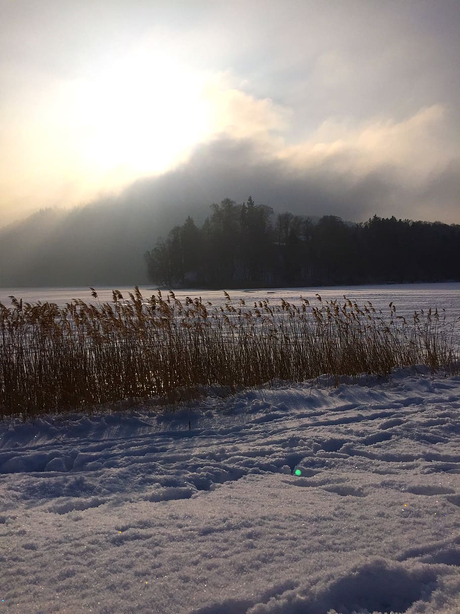 germany, schliersee, sky, winter, beauty in nature, cold temperature HD wallpaper
