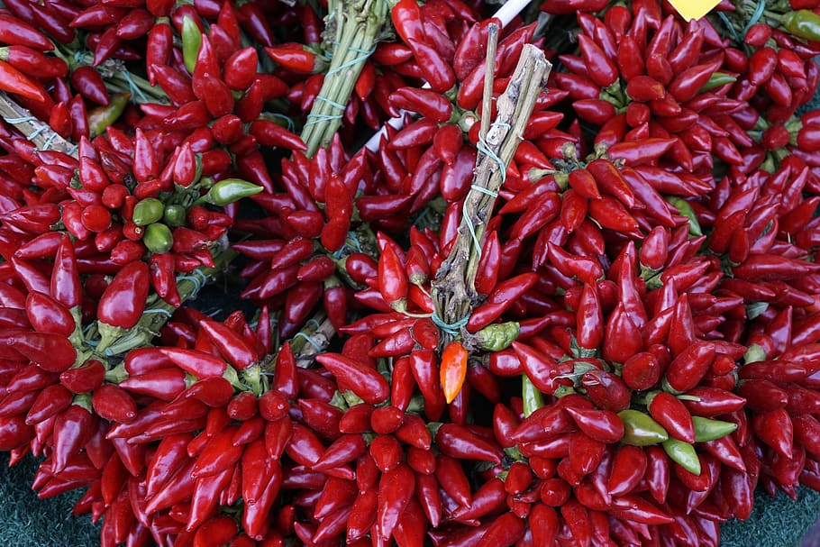 chili, sharp, red, food and drink, vegetable, pepper, chili pepper HD wallpaper