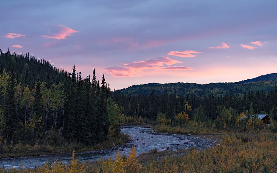 pink, sunset, sky, clouds, alaska, light, beauty, trees, river HD wallpaper