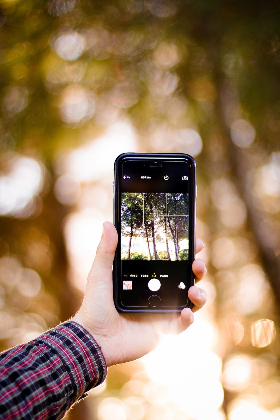 Person Holding Smartphone Taking Photo of Woods during Golden Hour HD wallpaper