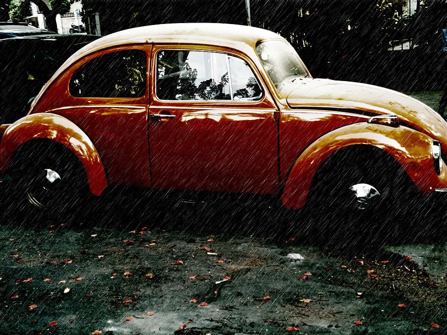 egypt, zamalek, volkswagen beetle, car, winter, cairo, rain, HD wallpaper