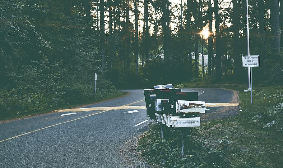 empty road with trees on sides, plant, transportation, sign, nature HD wallpaper