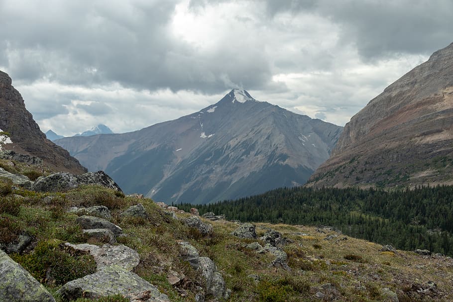canada, mount schaffer, mountain, tree, hiking, grass, forest HD wallpaper