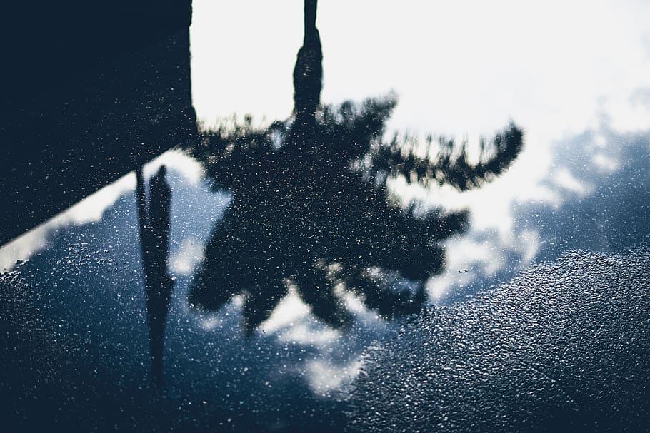 water, road, reflection, trees, sky, clouds, nature, day, no people HD wallpaper