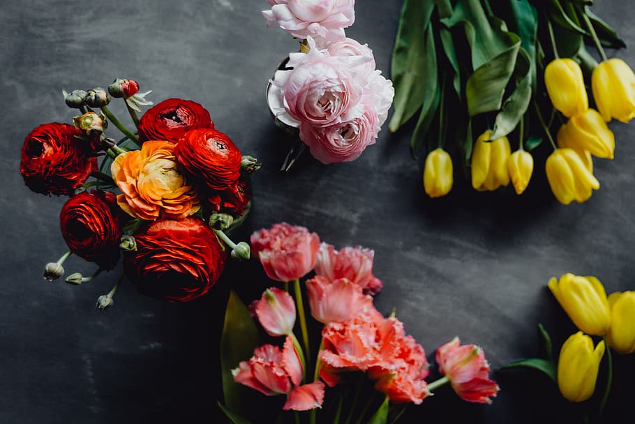 Colorful flowers on grey background with copy space, bloom, floral HD wallpaper