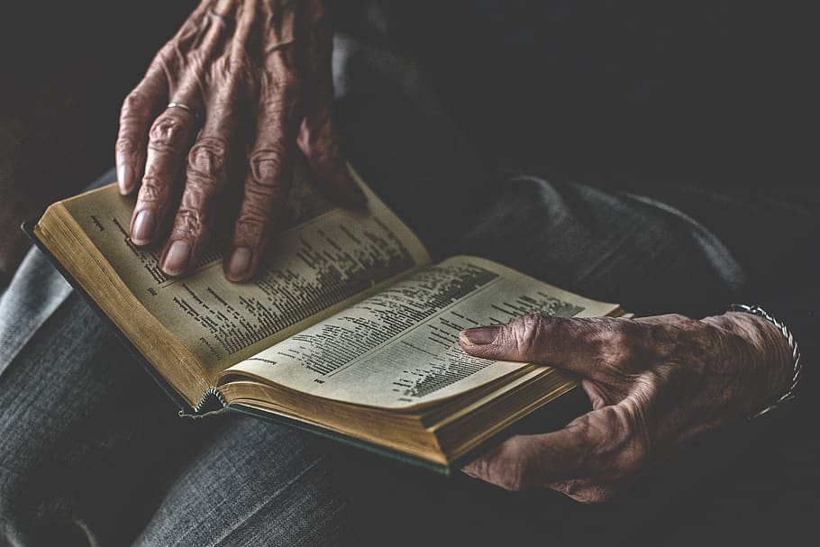 book, human, adults, literature, hand, woman, hands, older people