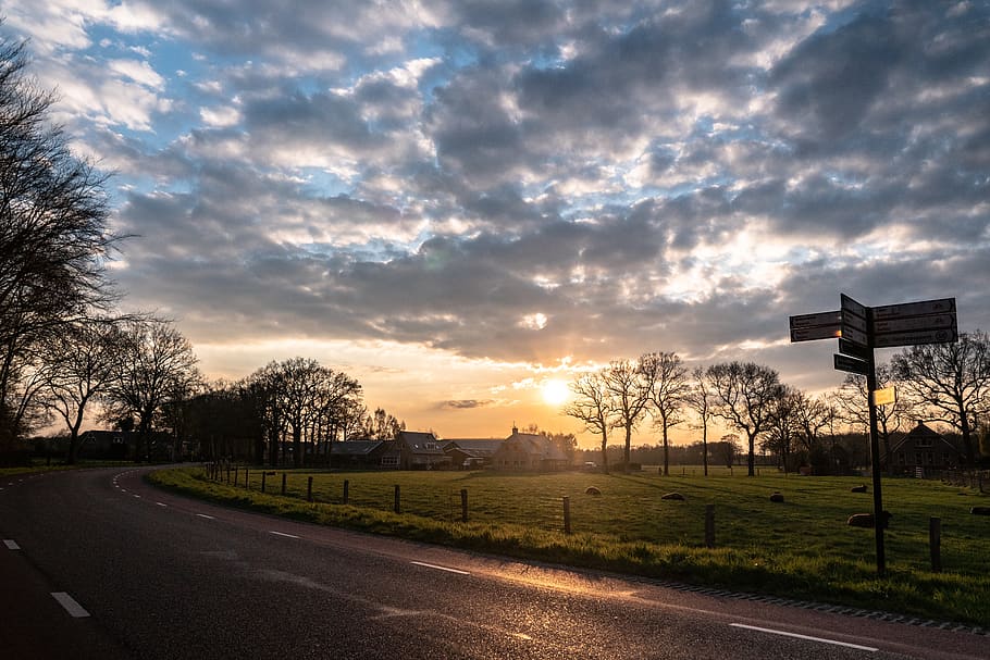streetsign, clouds, road, sheep, landscape, nature, horizon HD wallpaper