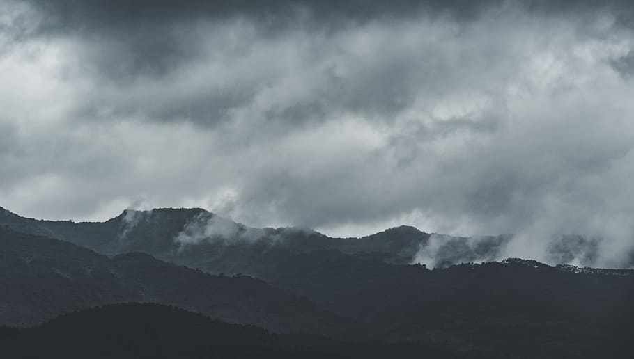 forest, cloud, fog, mountain, beauty in nature, cloud - sky HD wallpaper