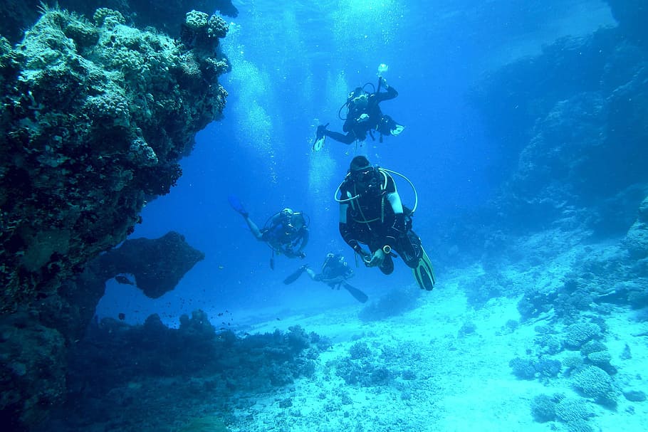 Underwater Diving, people, diver, divers, ocean, sea, scuba diving, HD wallpaper