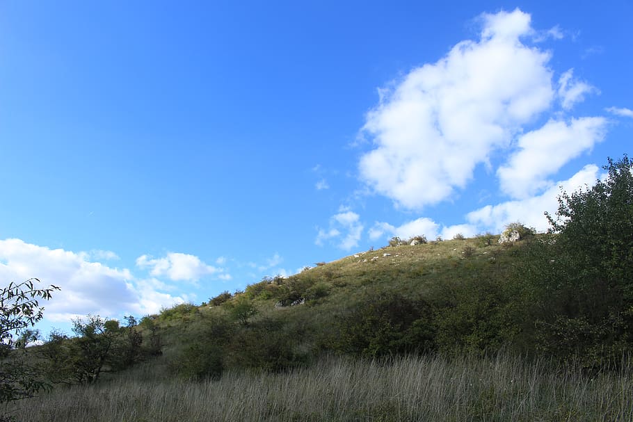 sky, cloud - sky, plant, tranquility, tranquil scene, beauty in nature HD wallpaper