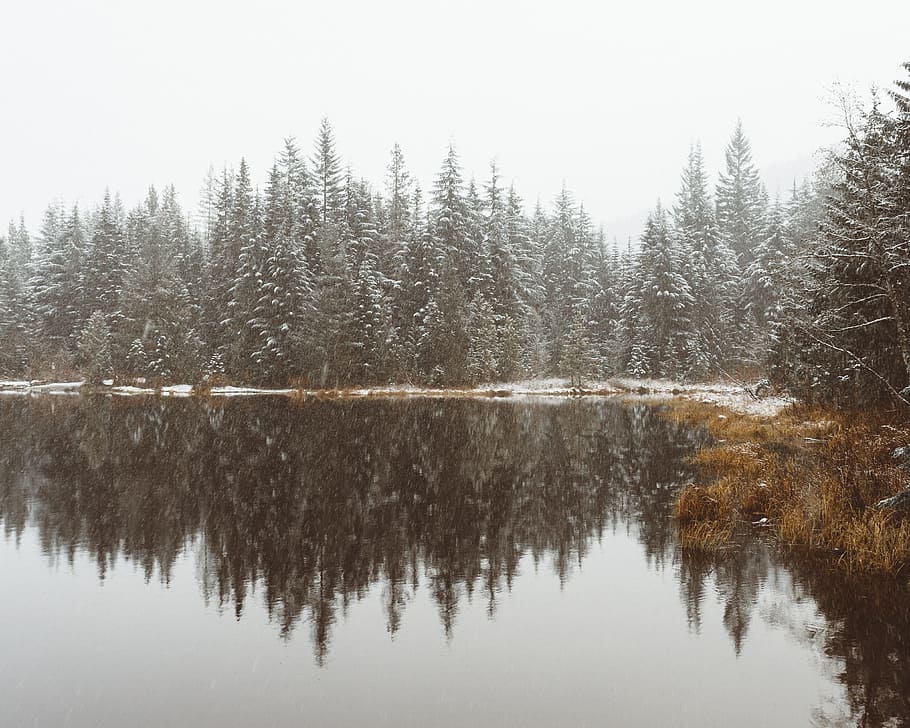 lake, water, reflection, grass, plant, trees, sky, nature, snow HD wallpaper