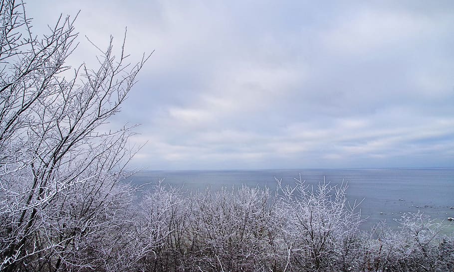 Body of Water Surrounded By Trees, clouds, cold, nature, ocean HD wallpaper