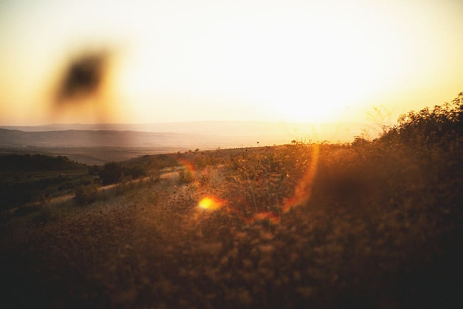 golden hour, sunset, sky, nature, tranquility, sunlight, lens flare HD wallpaper