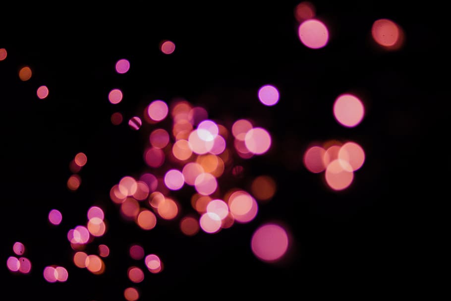 pink lights, person, human, festival, crowd, lighting, night HD wallpaper