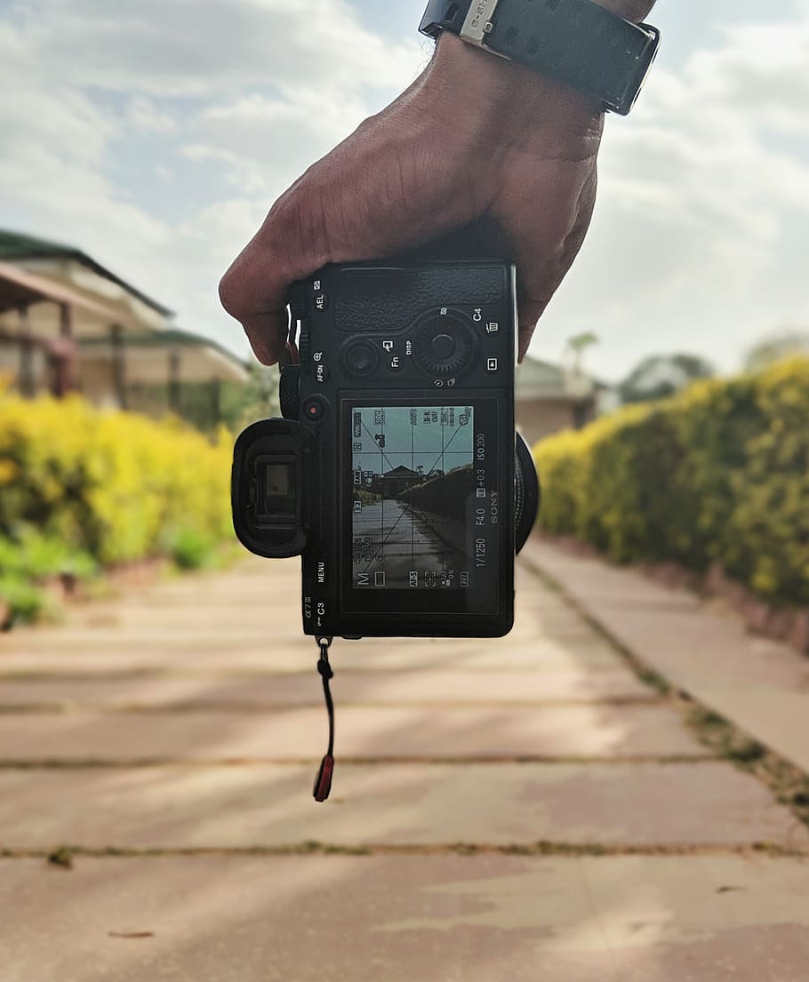 electronics, camera, person, human, photography, plant, vegetation HD wallpaper