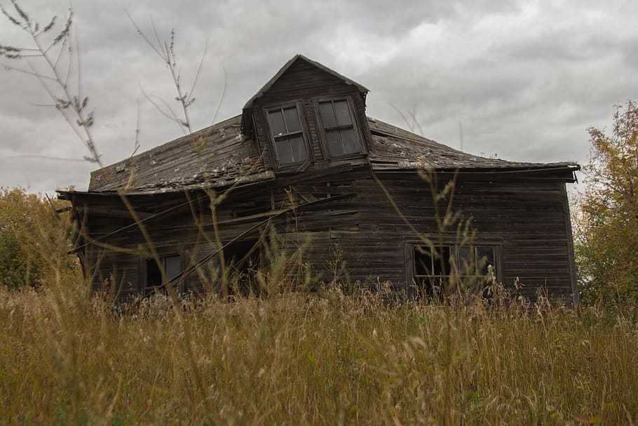 house, abandoned, broken, clouds, trees, forest, damaged, sky HD wallpaper