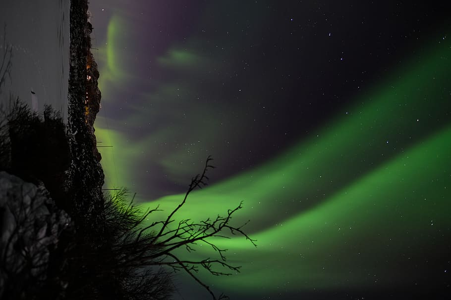 northern lights, nature, outdoors, night, aurora, tree, sky, lake HD wallpaper