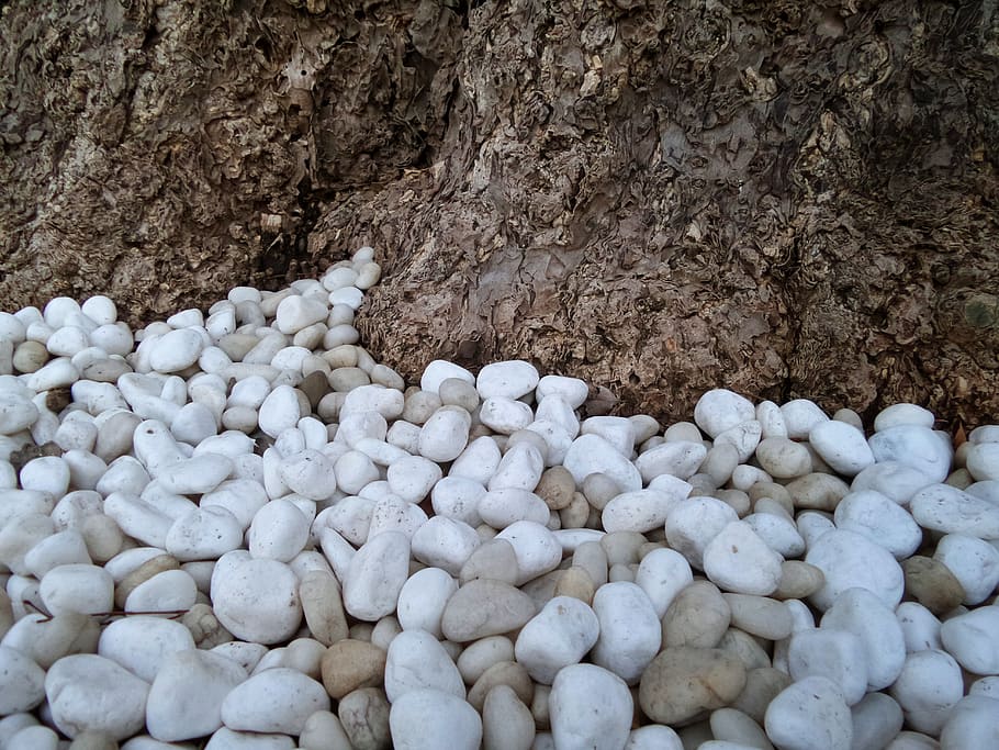 white, stones, tree, root, foot, brown, rock, solid, rock - object HD wallpaper