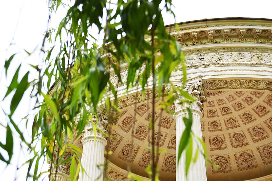 france, versailles, plant, leaf, nature, growth, green color HD wallpaper
