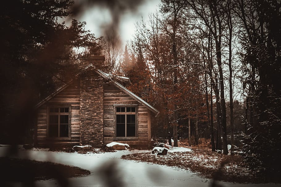 Cabin Near Trees, barn, cold, daylight, frost, landscape, log cabin HD wallpaper