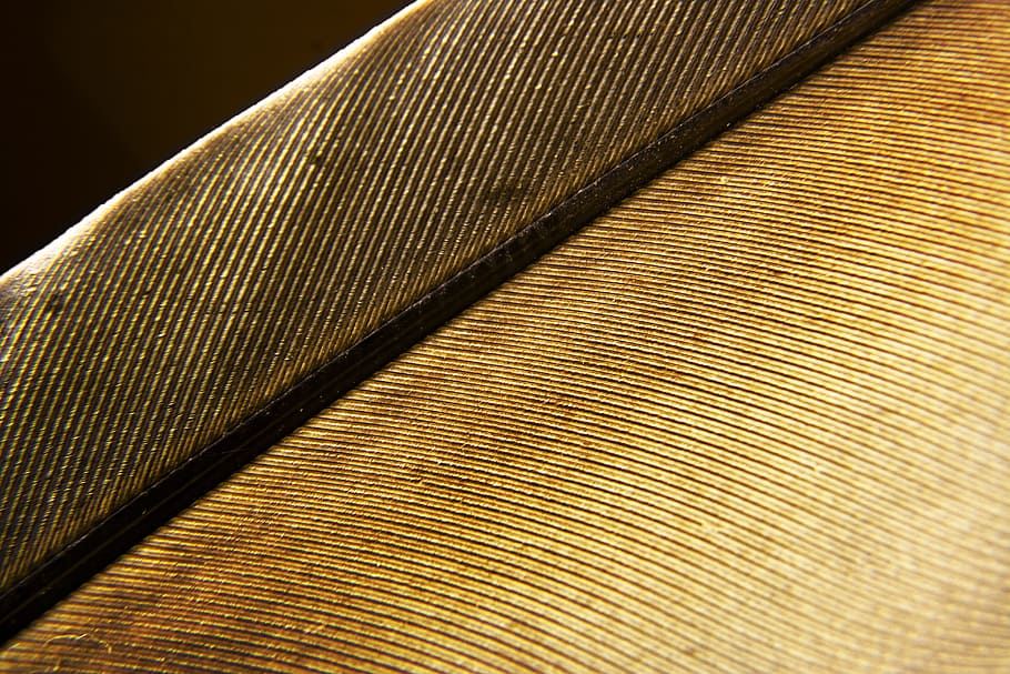 feather, pattern, closeup, fabric, texture, background, full frame HD wallpaper
