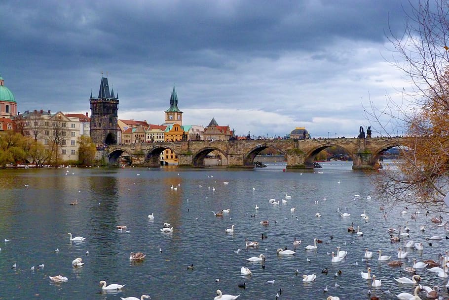 prague, charles bridge, river, city, czech republic, water HD wallpaper