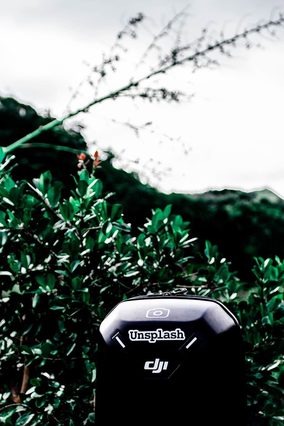 black DJI Unsplash, mauritius, chamarel, flora, plant, flower HD wallpaper