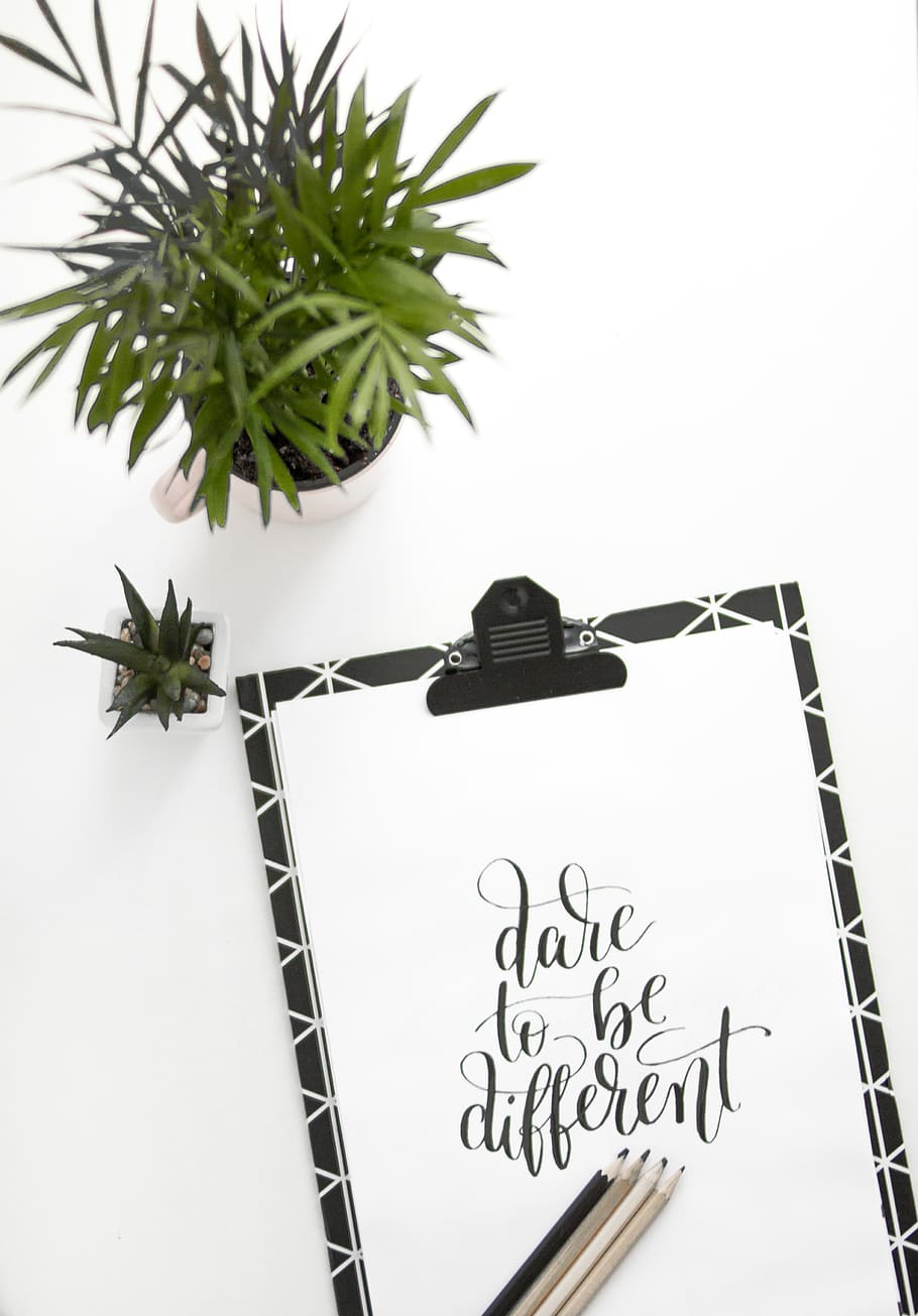 Green Leafed Potted Plant, flatlay, pencils, communication, text HD wallpaper