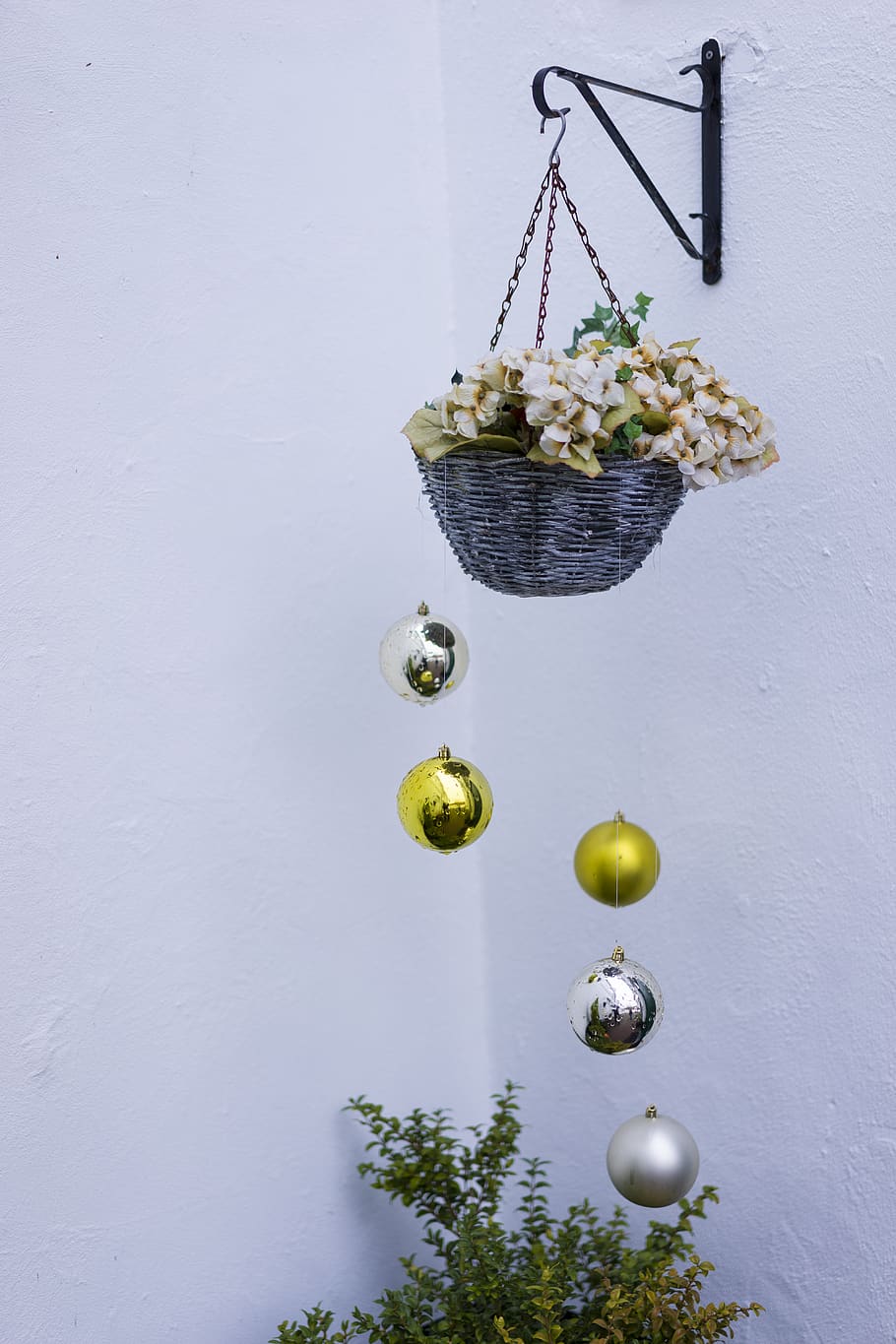 no people, hanging, food, food and drink, still life, decoration HD wallpaper