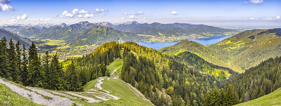 Aerial View Photography of Pine Trees, forest, landscape, mountain range HD wallpaper