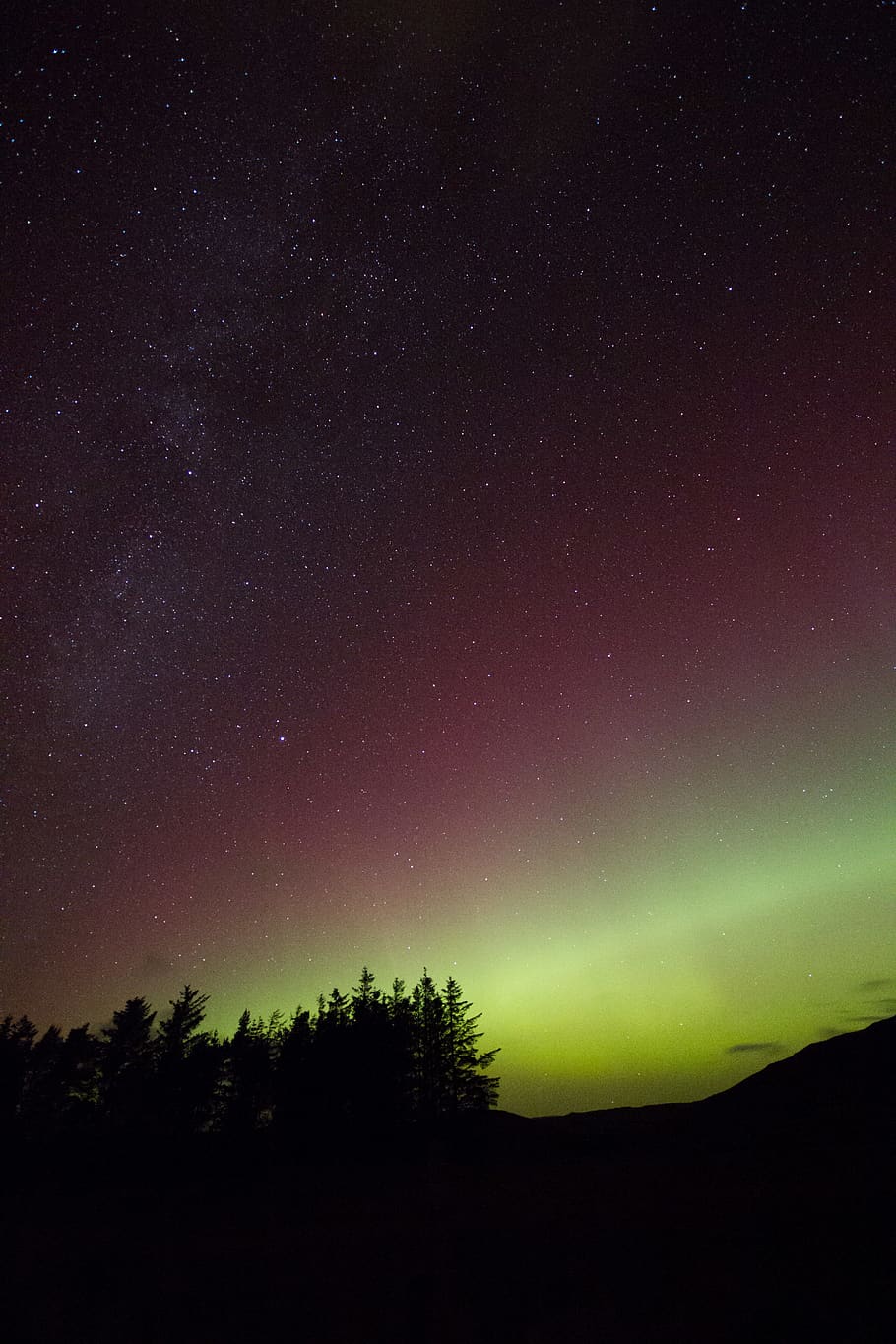 northern lights, trees, night, sky, stars, silhouette, evening HD wallpaper