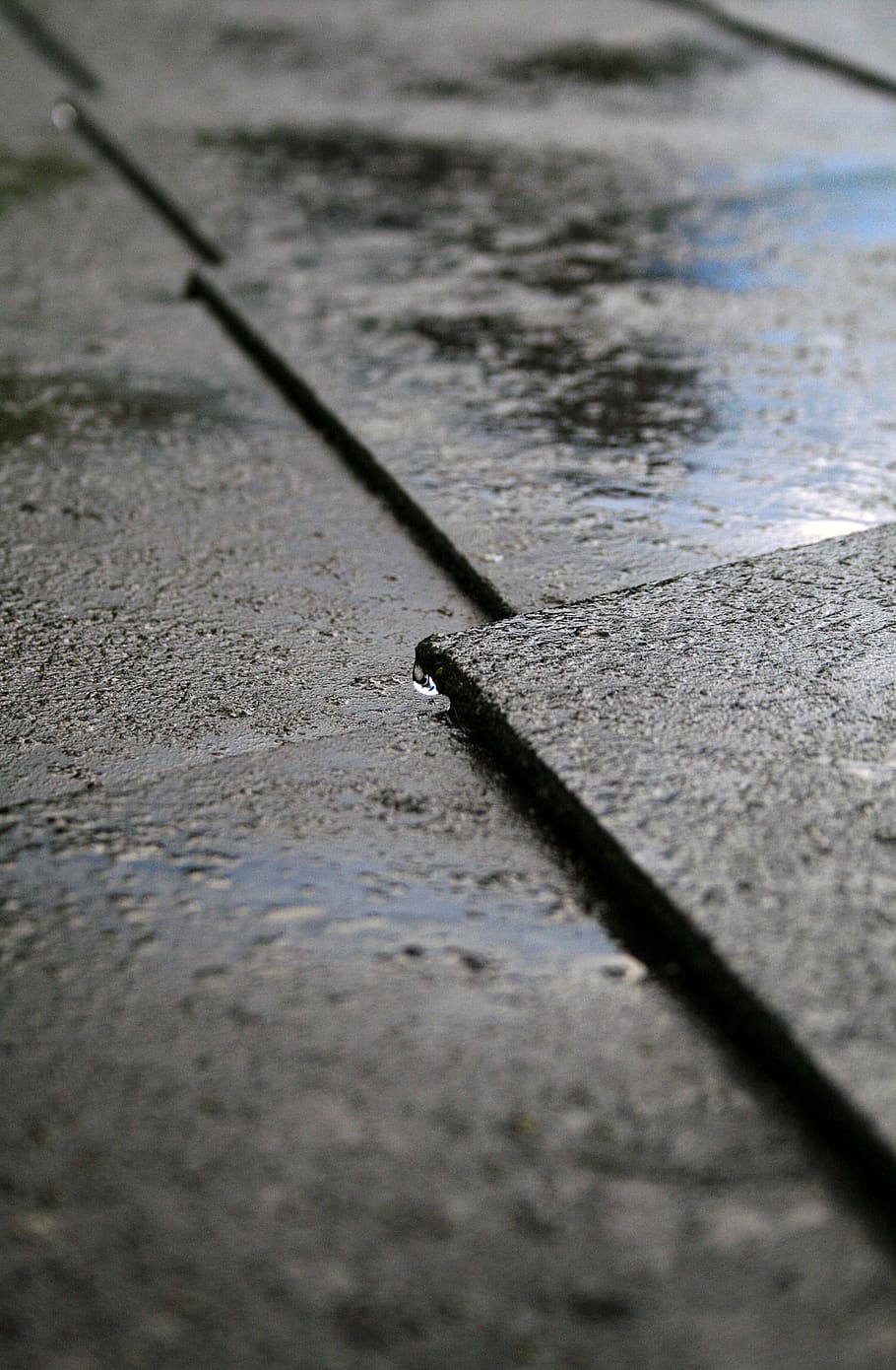 water, rain, roof, selective focus, no people, day, nature HD wallpaper
