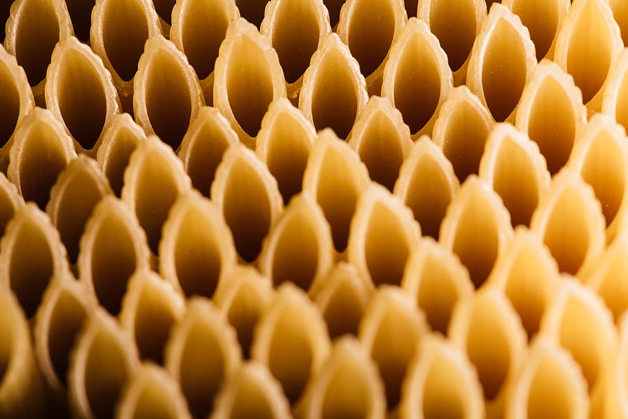 close-up, yellow, honeycomb, animal themes, backgrounds, apiculture HD wallpaper