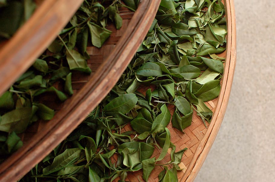 tea, tea sieve, leaf, food, plant part, food and drink, high angle view HD wallpaper