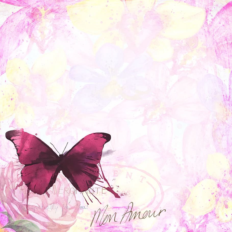fly, pink, butterfly, insect, nature, texture, design, flower HD wallpaper