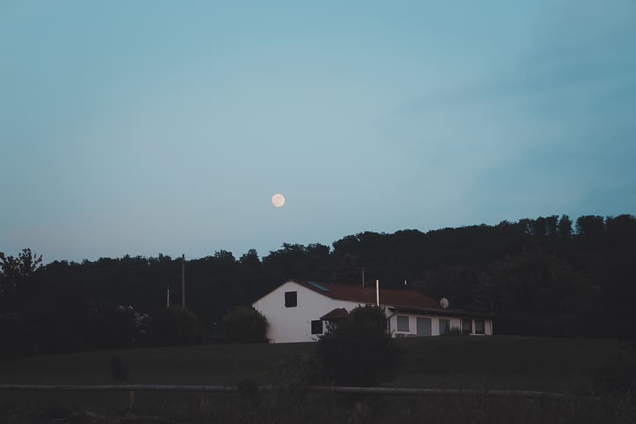 trees, moon, germany, town, evening, dusk, sky, built structure HD wallpaper