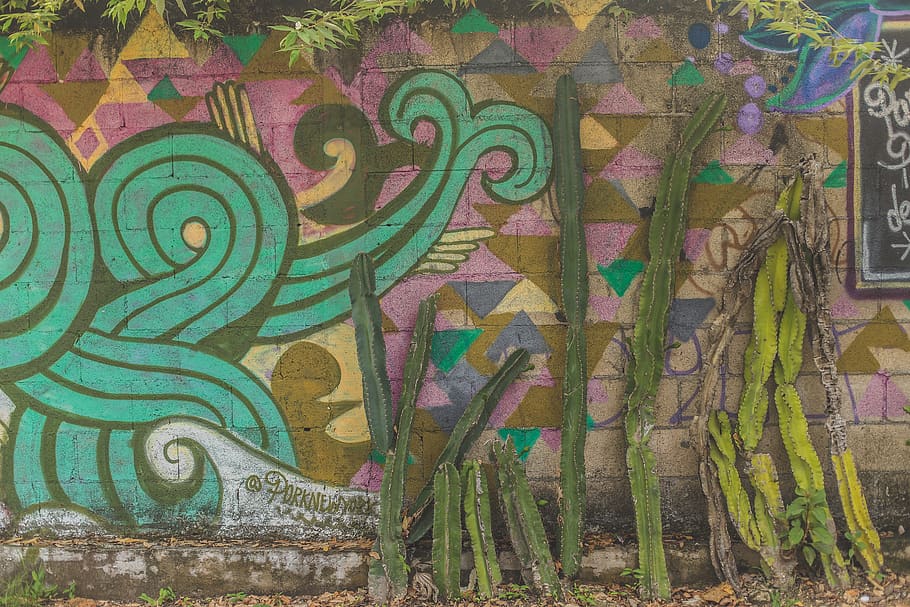 graffiti, explore, winter, summer, travel, wanderlust, cactu HD wallpaper