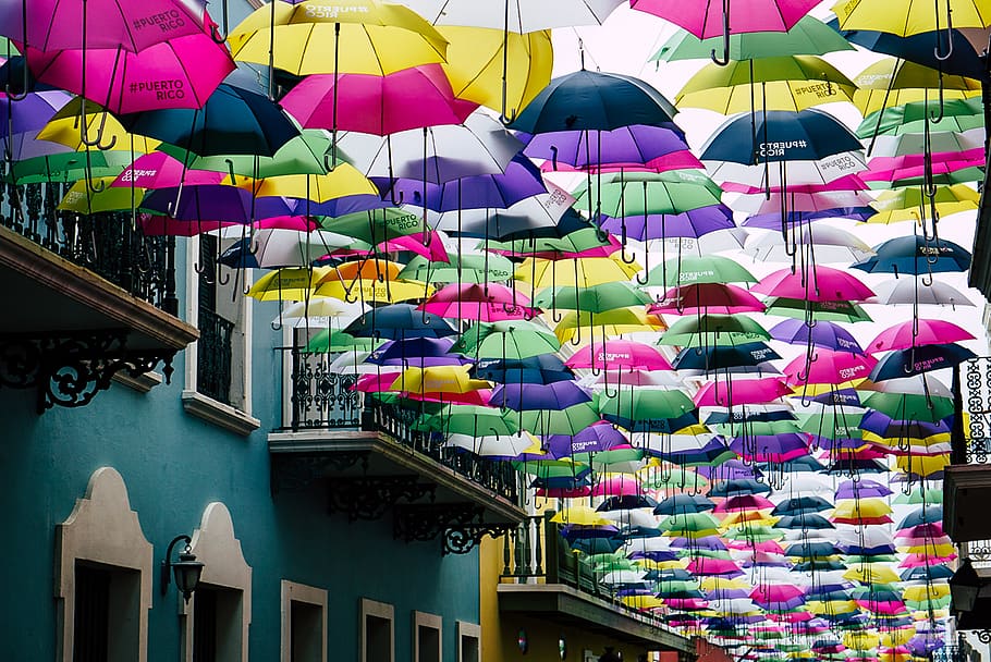 assorted-color umbrella lot, multi colored, architecture, protection HD wallpaper